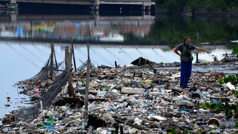 Tuhle zátočinu v roce 2012 zcela vyčistili od odpadků. Takzvané ekobariéry, tedy sítě, ale povolily a smetí zaplavilo mangrovové porosty