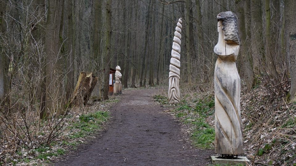 Část Pohádkového lesa pod Tulinkou v Šumperku, který by měla s Rejcharticemi spojit Andělská stezka