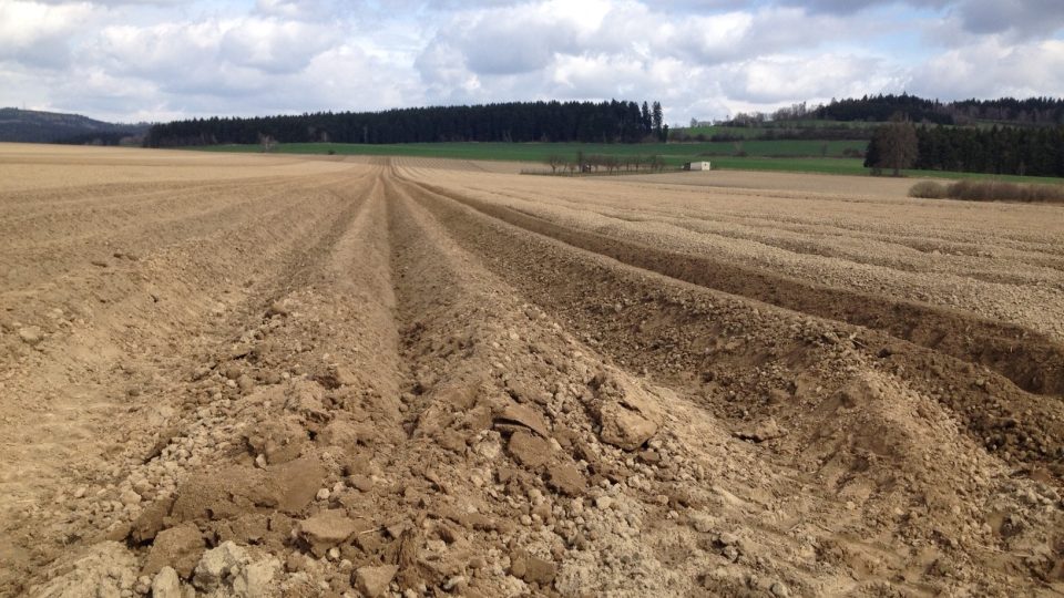 Zemědělci na Vysočině začali sázet brambory - mezi prvními Agro Měřín na Žďársku
