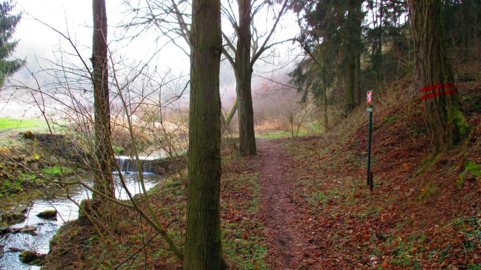 Vlevo Tymákovský potok, vpravo přírodní památka