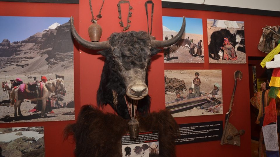 Výstavu Šangri-la, kterou do Jihočeského muzea přivezl Rudolf Švaříček, otevřela královna matka Bhútánského království s delegací