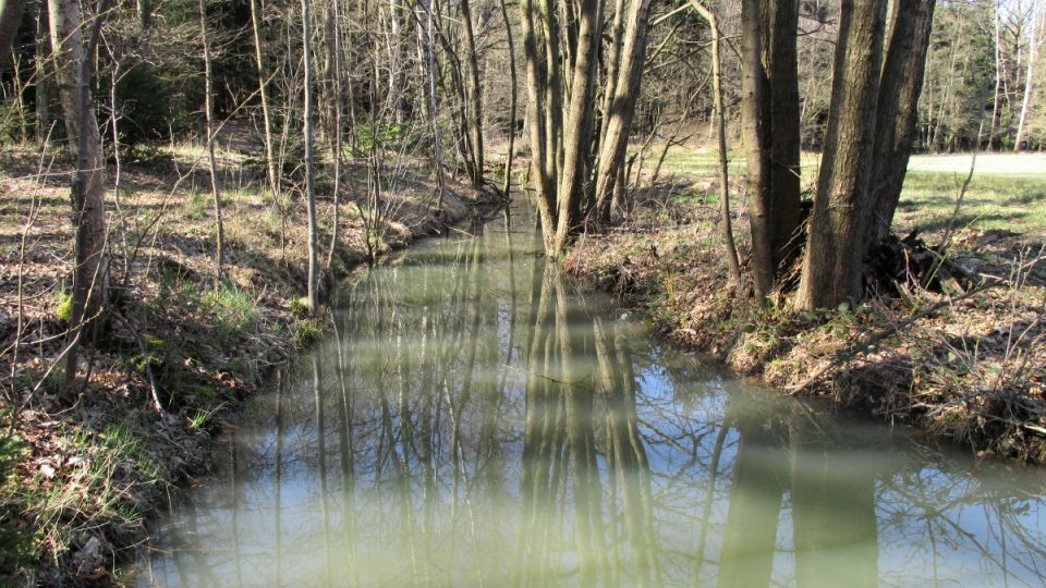 Historický vodní kanál přivádí vodu z 16 km vzdálených lesů pod Čerchovem