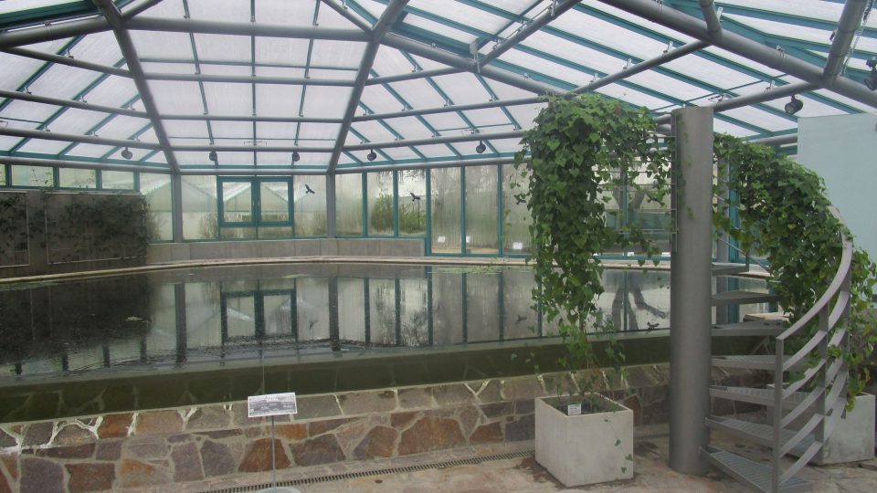Botanická zahrada v Liberci - pavilon leknínů