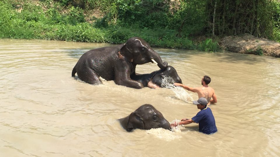 Dominika Vrkotová a Filip Trčka: Objevovali jsme medúzy, kari a další chutě JV Asie 03387781.jpeg