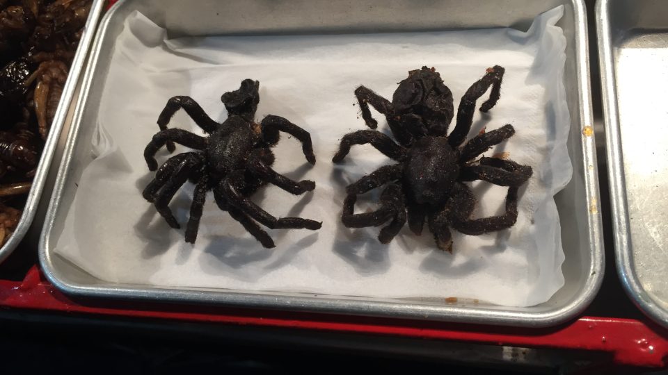 Dominika Vrkotová a Filip Trčka: Objevovali jsme medúzy, kari a další chutě JV Asie 03387789.jpeg