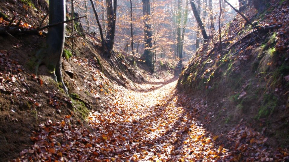 Úvozová cesta vedoucí ke hradišti