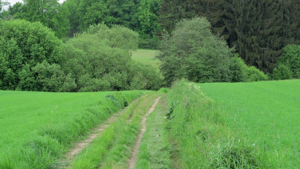 Celá trasa na Zaječí skok je poměrně pohodlná. Projede ji i cyklista