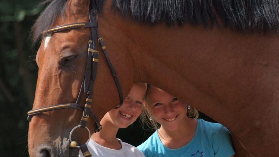 Děti koně milují