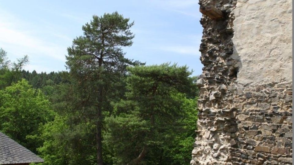 Zřícenina hradu Zlenice