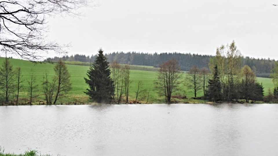 V okolí Lesné kromě lesa najdeme i krásný rybník