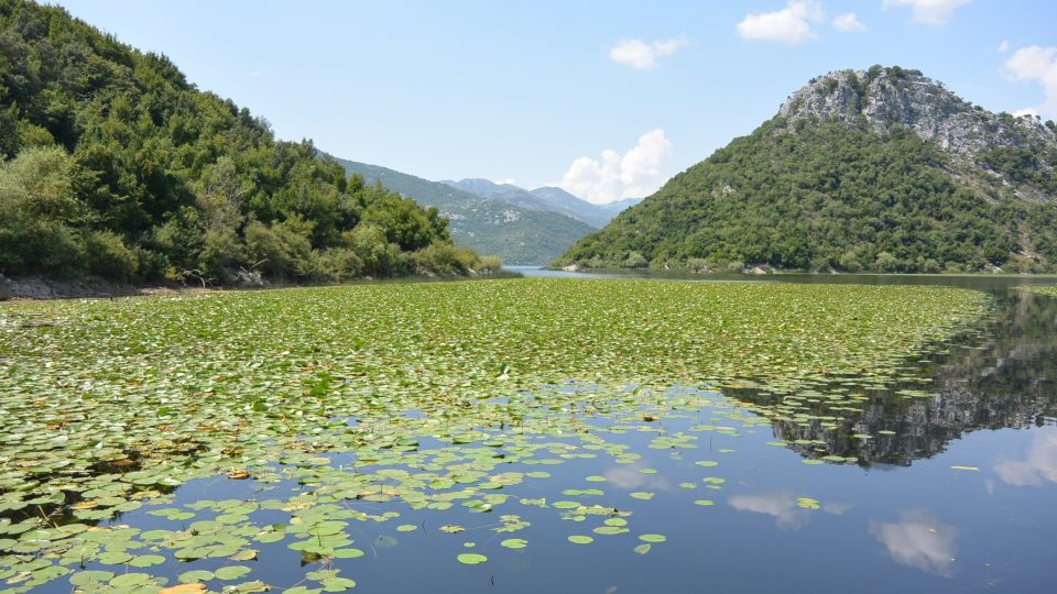 Skadarské jezero v Černé Hoře m jedinečnou poetiku. Něčím připomíná severské fjordy