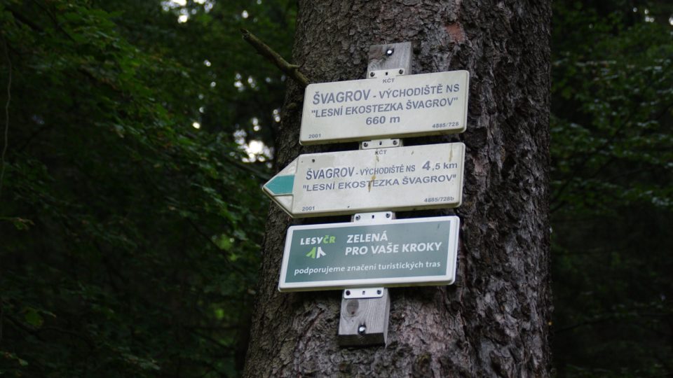 Průvodcem po stezce je zelená turistická značka