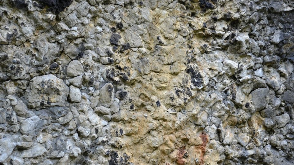Hlíznatý povrch vrstev vápenců pražského souvrství, vznikl asi těsně po usazení vápnitého kalu na mořské dno