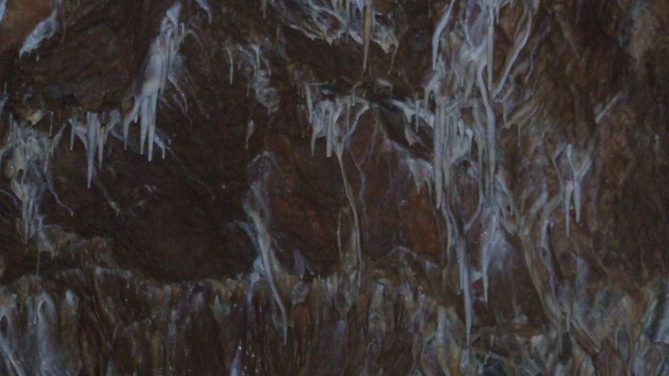 Stalaktity a sintrové náteky z čistého kalcitu se tvoří na trhlinách stropu Velkého dómu. Trhliny jsou přívodními kanálky krasové vody.