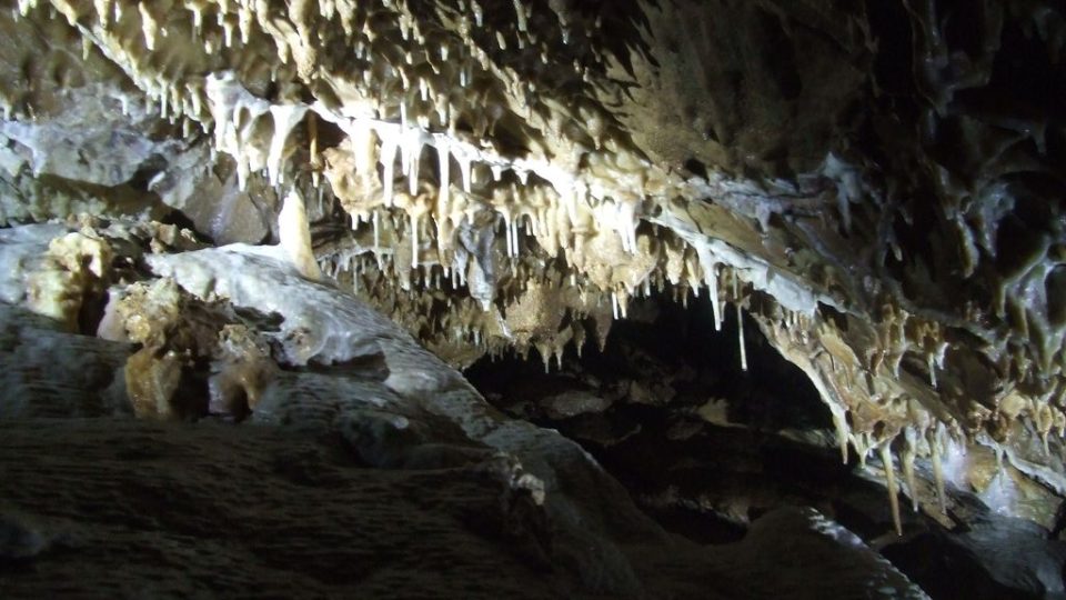 Četné drobné stalaktitové formy a sintrové náteky se vytváří v zadní části Velkého dómu.