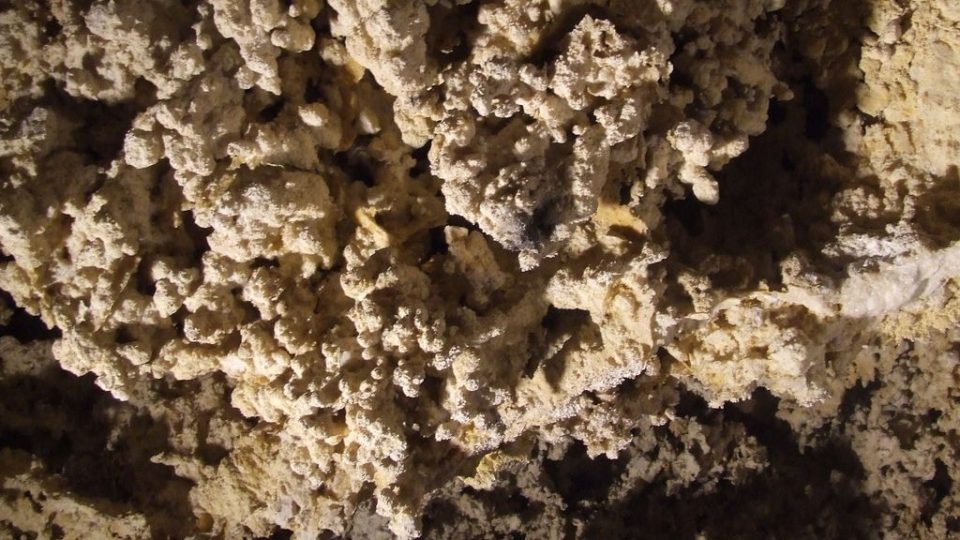 Korozí silně rozrušené stěny jeskyně - typická "turoldská výzdoba" připomínající mořské korálové útesy