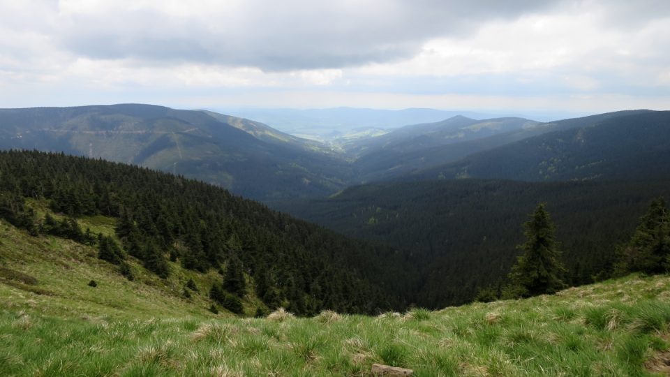 Výhled od pramene Moravy