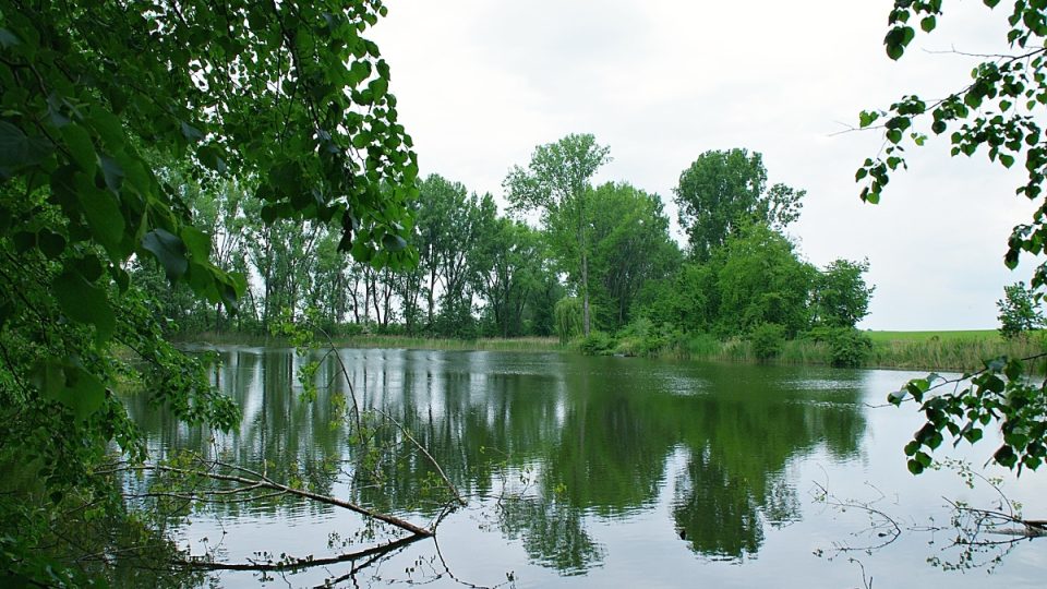 Jen pár desítek městrů od hřbitova je jeden ze dvou kojetínských rybníků, který sem láká výletníky