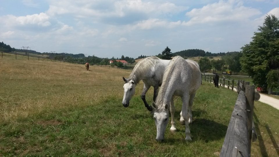 Česká Kanada