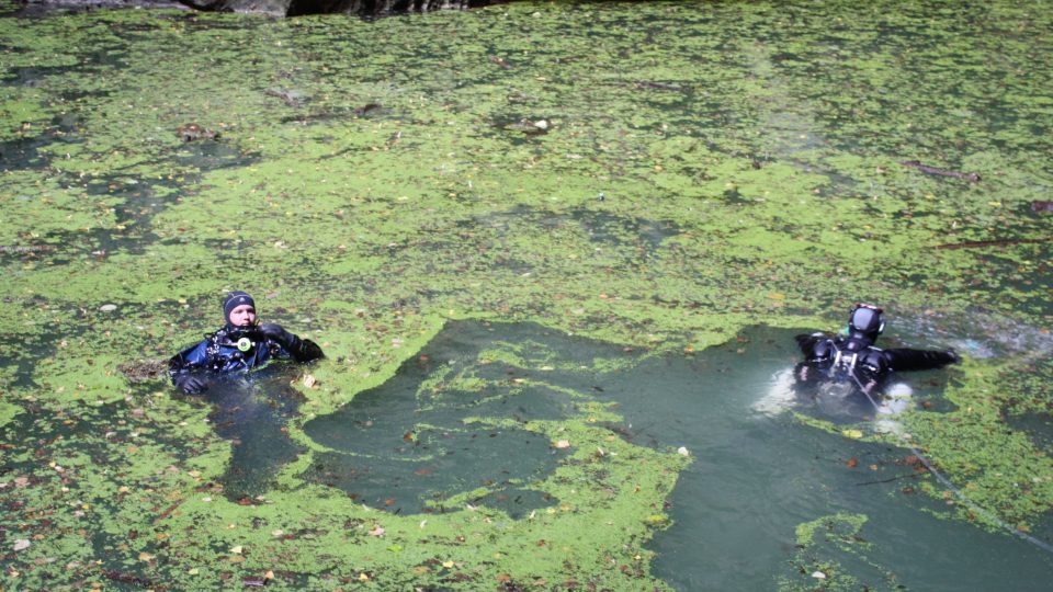 Potápěči před ponorem musí vyčistit hladinu od spadaného listí