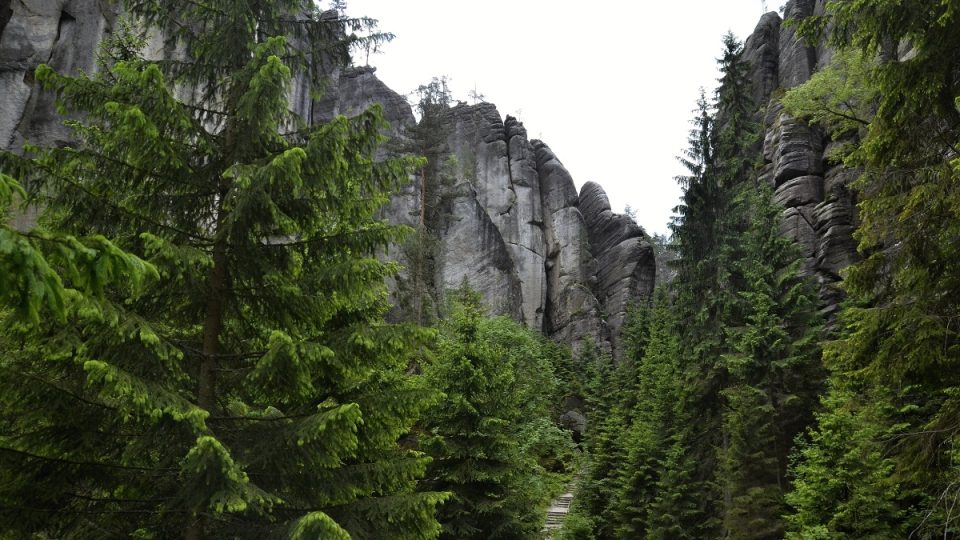 Výhled od horololezecké chaty do skal