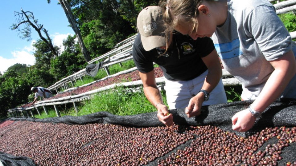 Farma Emporium a Graciano Cruz, známý experimentátorský farmář ve vesničce Boquete v Panamě