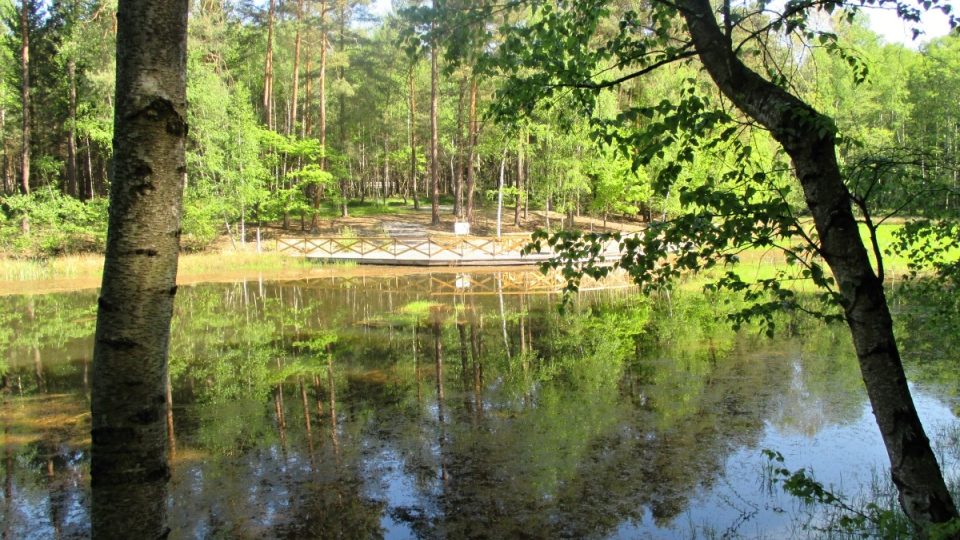 Arboretum je oázou i pro vodní živočichy