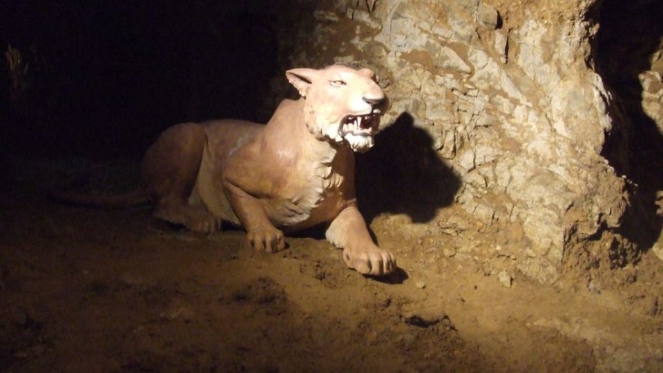 Rekonstrukce jeskynního lva podle nálezů z jeskyní Moravského krasu