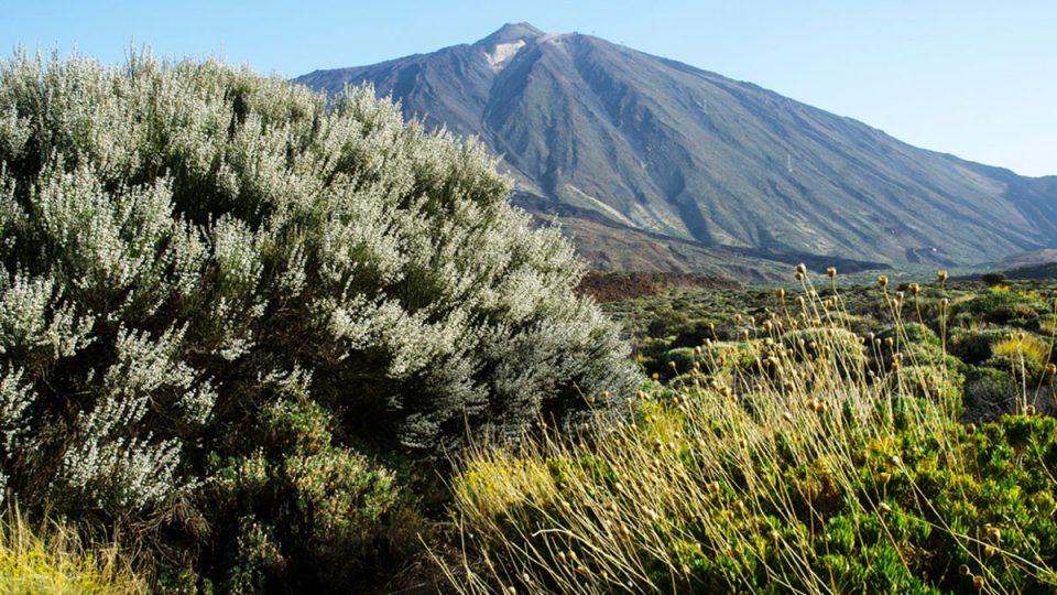 Tenerife je ostrov vulkanického původu