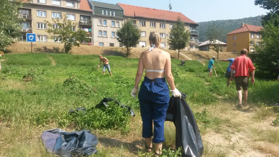 Dobrovolníci při úklidu labské pláže na Střekově
