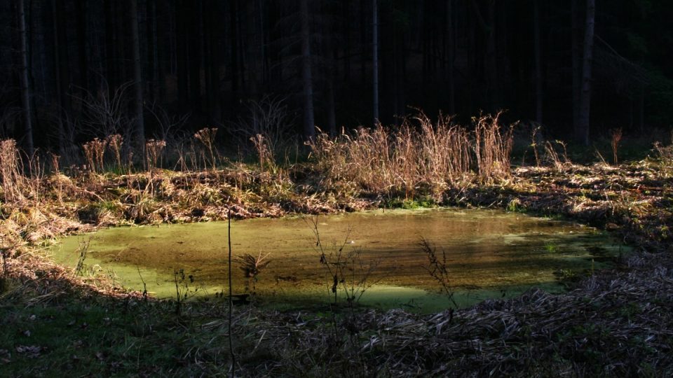 Tůňka pod Bátrnkou, kde se podle pověsti utopil kočár