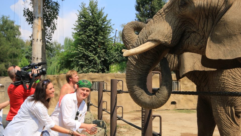 Houslista Pavel Šporcl zahrál slonům k jejich světovému svátku