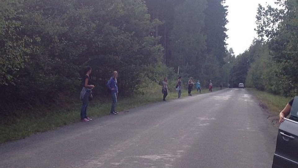 Víc než 100 lidí hledalo v lesích nedaleko Hradce Králové zanedbané a odhozené psy
