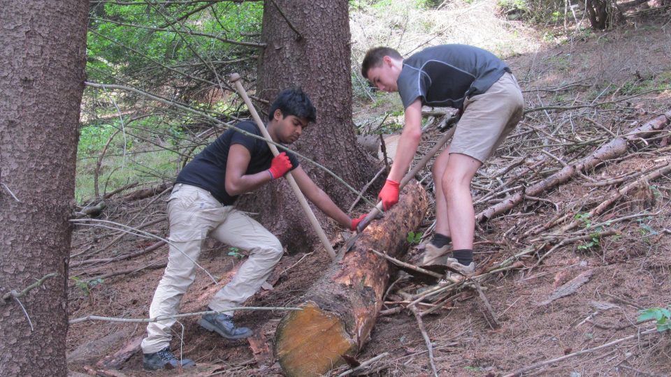 Dobrovolníci z Francie, Španělska i z Pákistánu pomáhají v Novém pralese na Ještědu 