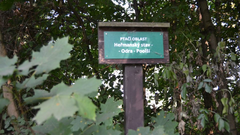 Informační tabule v přírodní rezervaci Skučák