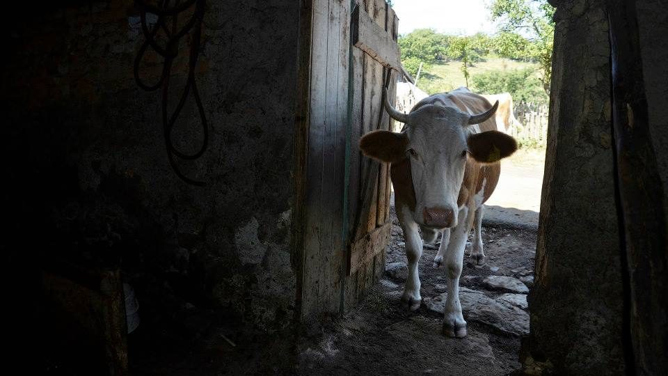 Chcete poznat rumunský Banát s početnou etnickou skupinou našich krajanů? Jiřina Mužíková je navštívila a fotografovla