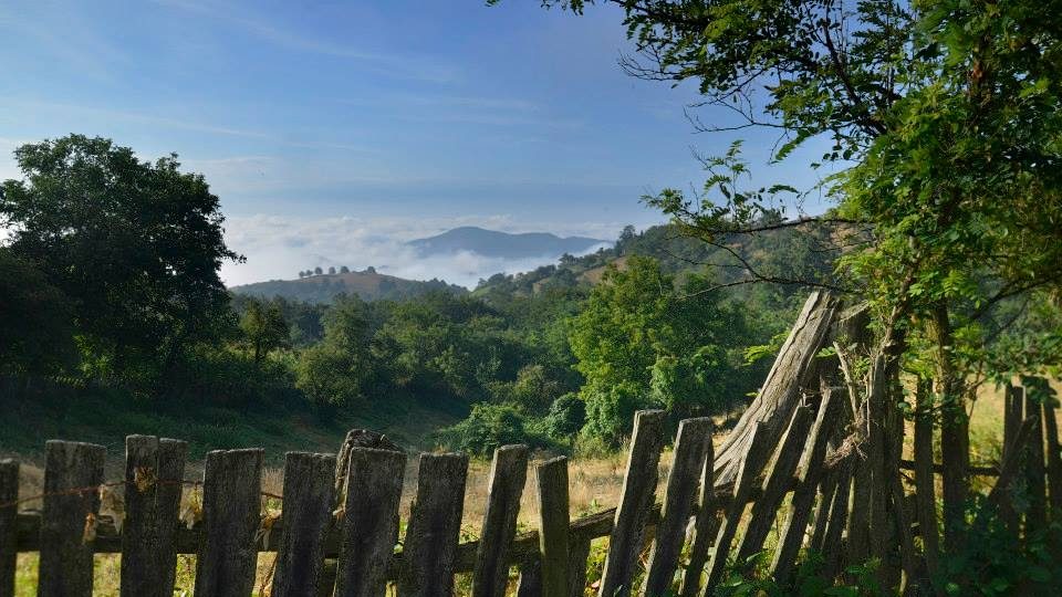 Chcete poznat rumunský Banát s početnou etnickou skupinou našich krajanů? Jiřina Mužíková je navštívila a fotografovla