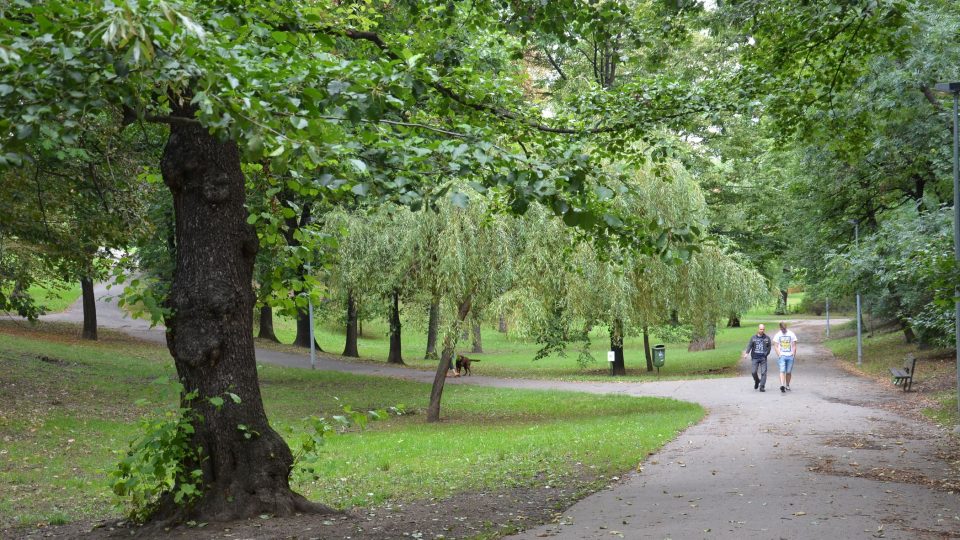 Park Jezerka byl vybudován na konci 40. let 20. století