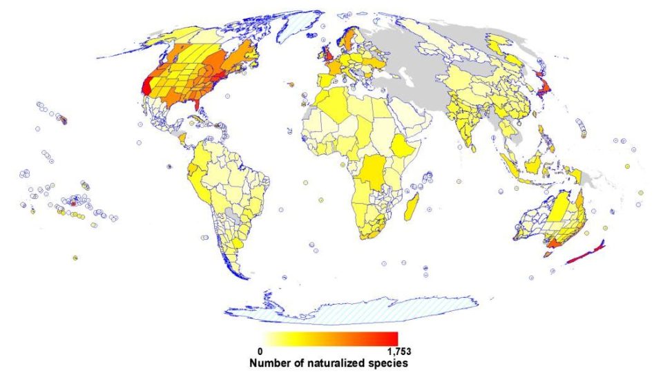 Počet zdomácnělých rostlinných druhů v regionech světa