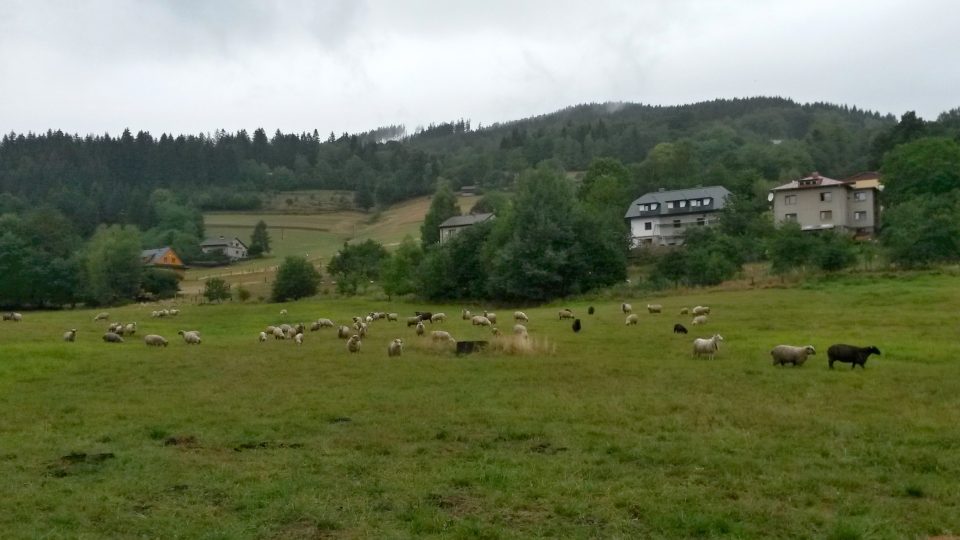 Po stopách salašnictví v Košařiskách