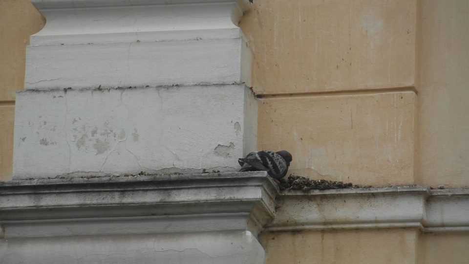 Královéhradecký magistrát chystá celkovou opravu společenského domu Adalbertinum. Historická budova z konce 19. století je v neutěšeném stavu