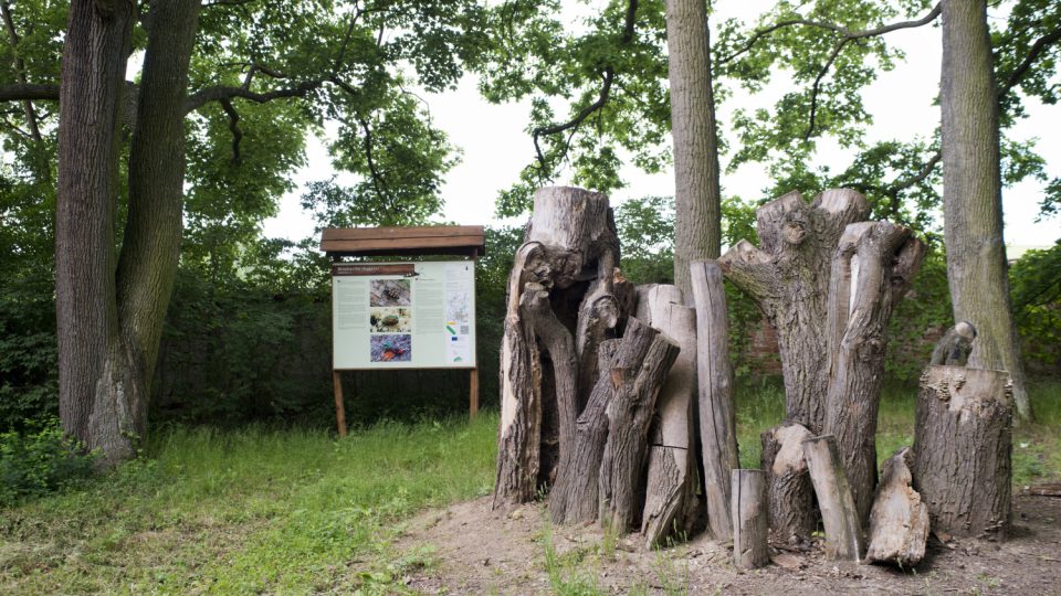 Park s takzvaným broukovištěm