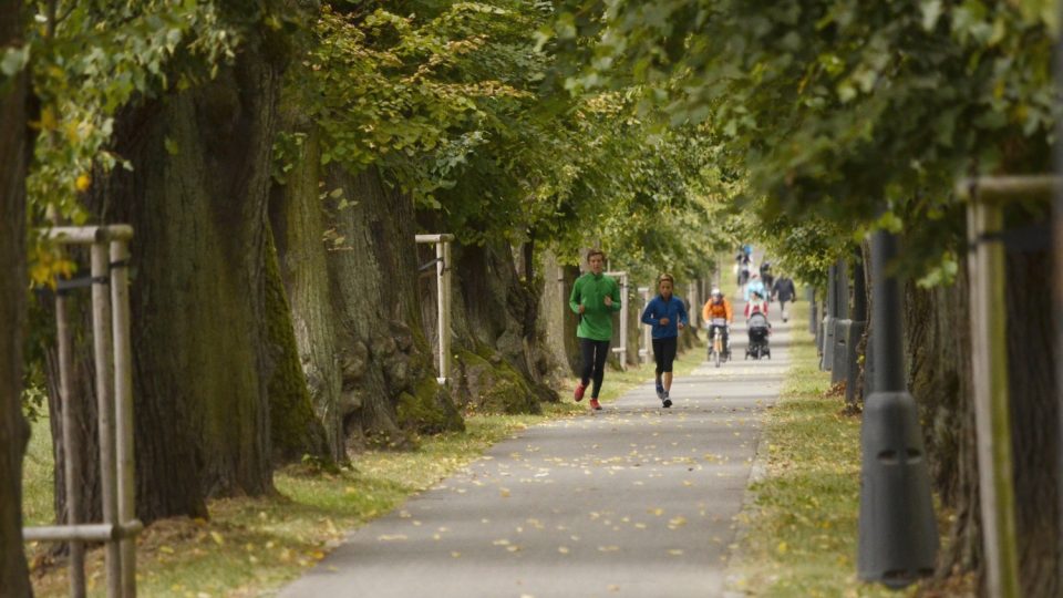 Lipová alej je 2 km dlouhá, vede z Jičína až k Valdštejnské lodžii