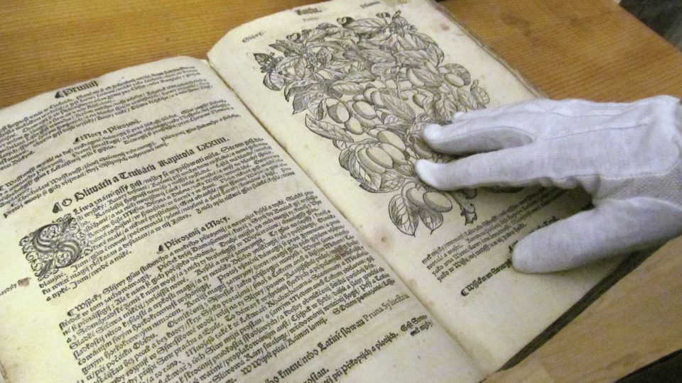 Muzejníci se knih dotýkají zásadně v bílých rukavičkách