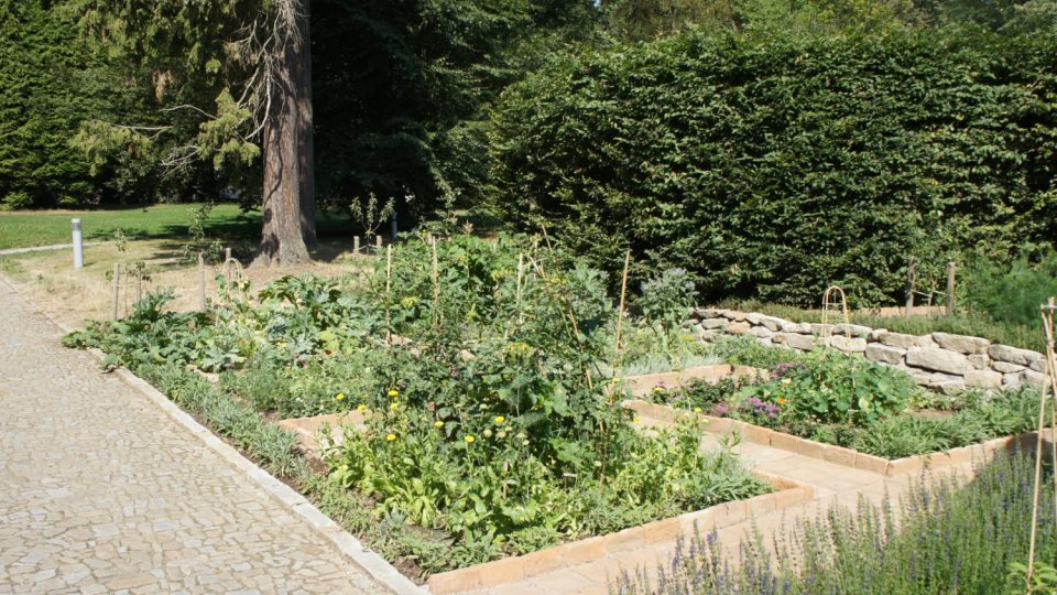 V restauraci v Chateau Herálec nemají s čerstvými bylinkami problém