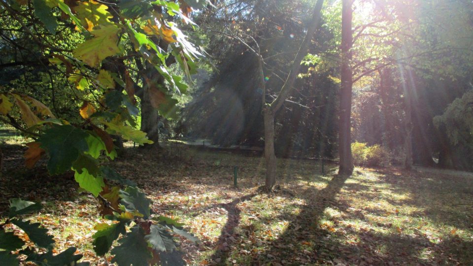 Kouzlo podzimu v Americké zahradě u Chudenic na Klatovsku