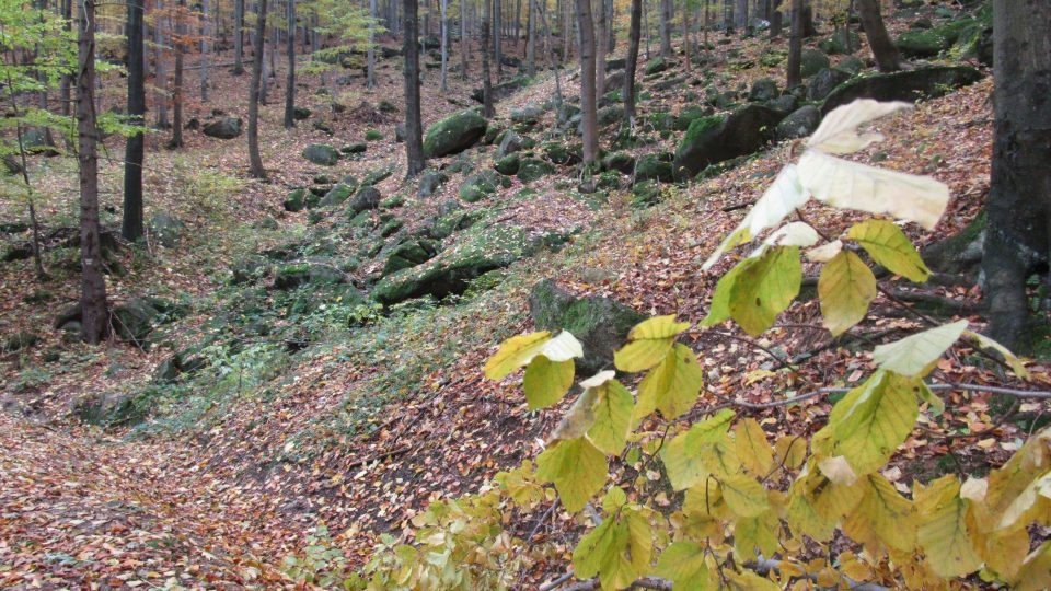 Projít celou stezku zabere zhruba tři hodiny 