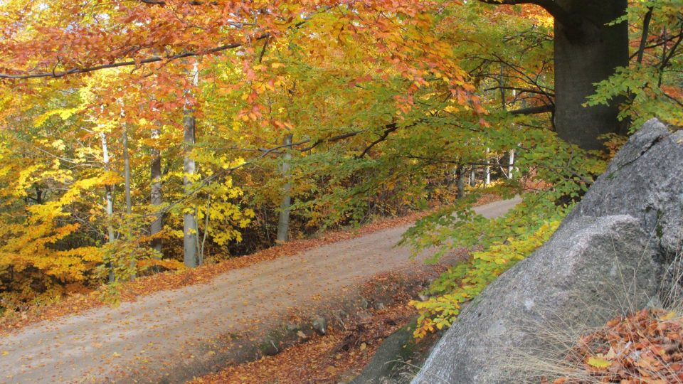 Na podzim patří cesta k nejbarevnějším stezkám vůbec