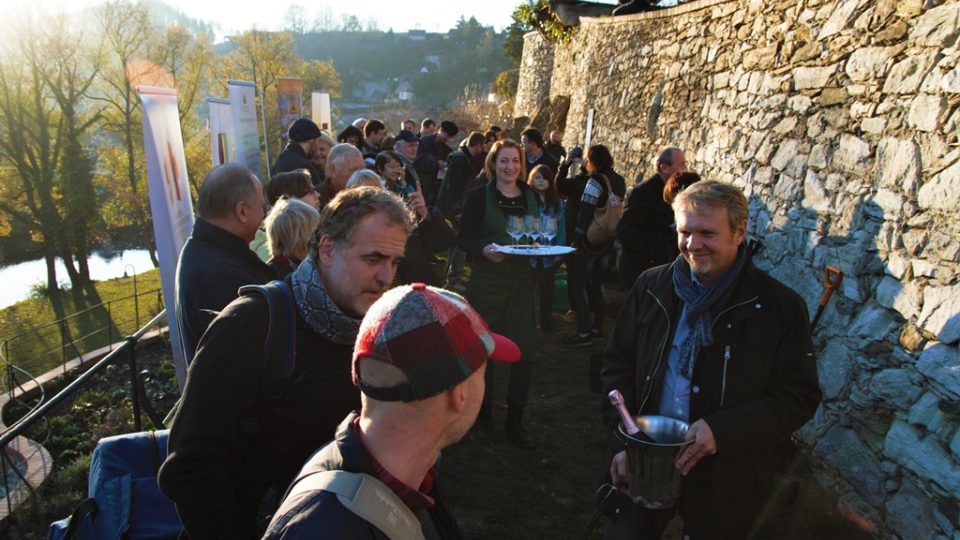 V Krumlově vysadili novou vinici. Nachází se nedaleko zahradního domku Egona Schieleho