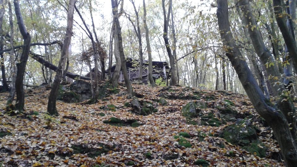 Turisté si své chatky stavěli na nepřístupných místech přímo mezi stromy